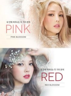 Pink&Red_Pony